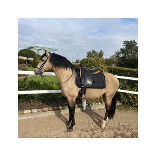 Body-Move-Pad | Pro WANDERREITEN