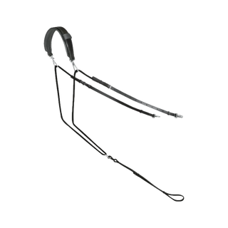 Gymnastikzügel: pferdegerechtes Longieren von Passier by Horst Becker