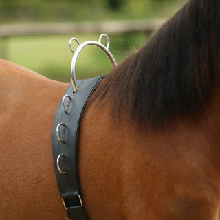 Longiergurt für Islandpferde