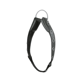 Longiergurt von Passier by Horst Becker