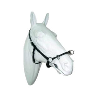 Portugiesisches Cavecon - Kappzaum